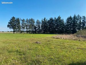 Terrain 4 480 m² Saint Remy En Rollat