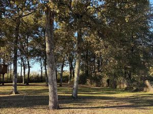 Terrain 1 300 m² Cestas