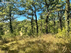 Terrain 2 400 m² Esclauzels