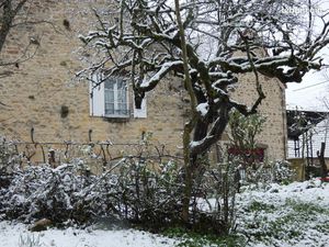 Cosy and fully renovated and furnished old mansion near Vezelay  in Burgundy