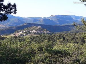Belle forêt en zone naturelle