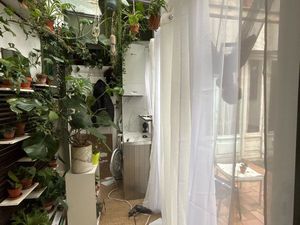 Appartement à louer + arrosage plantes