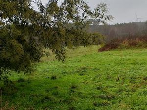 Recherche terrain agricole sur Pleucadeuc