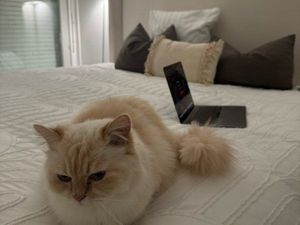 Location appartement type T4