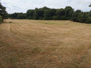 Terrains non constructible 87370