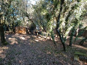 Terrain constructible à Castries