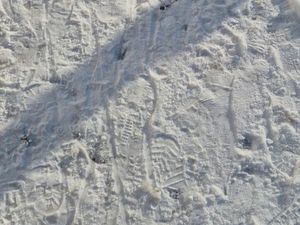 Nous recherchons une maison avec 3 chambres et jardin