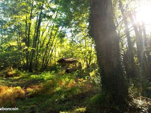 Projet Agroforestier~ Cherche forêt 5ha alentours Mimizan