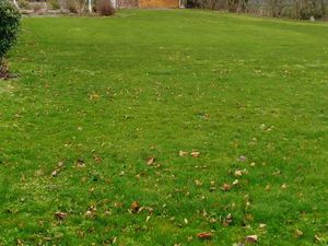 Terrain constructible