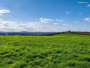 Terrain constructible et viabilisé de 350m²