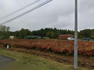 Terrain 307 m² Mios