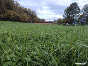 Cherche terrain agricole