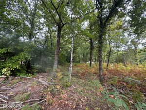 Terrain 2 019 m² Grayan Et L Hopital