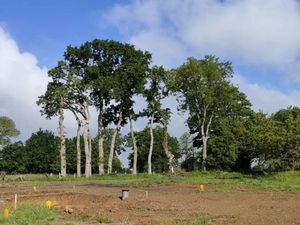 Terrain 337 m² Andouille Neuville