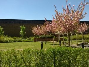 Location T2 Faches Thumesnil