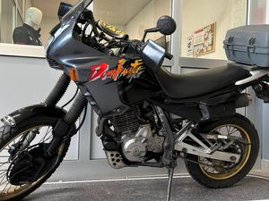 VENDO HONDA NX 650 DOMINATOR (1991 - 95) USATA A SONDRIO (CODICE 9734562) - MOTO.IT