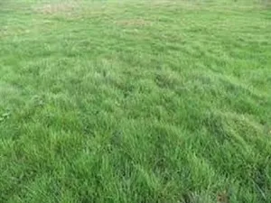 Vente terrain 643 m² à Souppes-sur-Loing (77460)  48 000 €