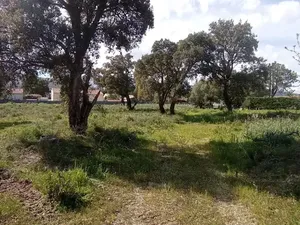 Vente terrain à batir 941 m² à Solaro (20240)  125 000 €