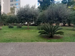 Vente appartement 2 pièces 45 m² à Marseille 2ème (13002)  180 000 €