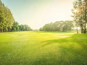 Vente terrain 714 m² à Plivot (51150)  69 000 €