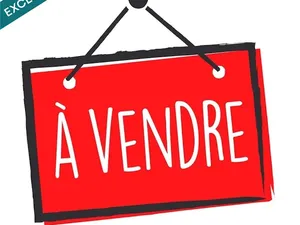 Vente locaux professionnels 240 m² à Le Bernard (85560)  326 000 €