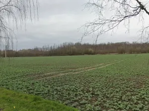 Vente terrain 597 m² à Wahagnies (59261)  107 000 €