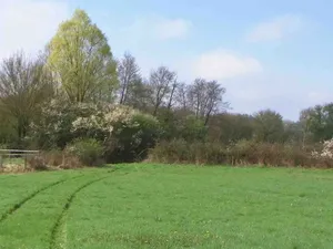 Vente terrain 250 m² à Carrieres-sur-seine (78420)  440 000 €