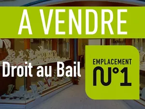 Vente locaux professionnels 250 m² à Lyon 2ème (69002)  580 000 €