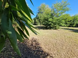 Vente terrain 620 m² à Bruges (33520)  420 000 €