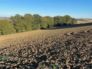 Vente terrain 411 m² à Montbrun-Lauragais (31450)  78 000 €