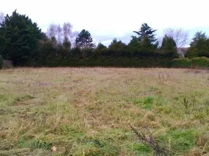 Vente terrain 3299 m² à Nangis (77370)  79 000 €