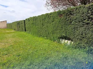 Vente maison neuve 116 m² à Dauphin (04300)  365 000 €