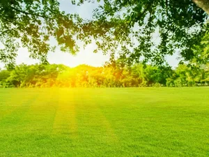 Vente terrain 750 m² à Plichancourt (51300)  29 000 €