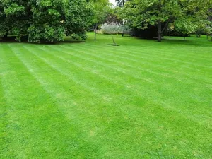 Vente terrain 520 m² à Chouzy-sur-Cisse (41150)  49 000 €