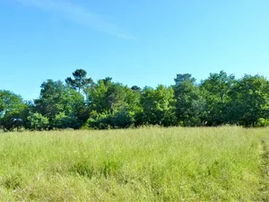 Vente terrain 800 m² à Camblanes-et-Meynac (33360)  222 000 €