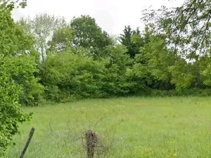 Vente terrain 1000 m² à Rioux (17460)  49 500 €