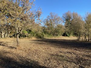 Vente terrain neuf 1200m2 Rians - 115000 € - Surface Privée