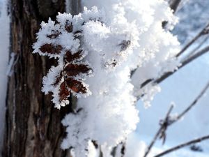 Annonce commerce à vendre