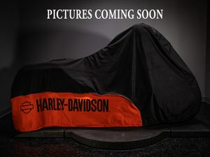 2019 STREET® 500 (XG500)