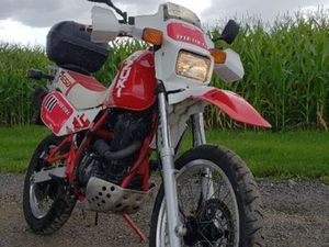 Suzuki djebel 650
