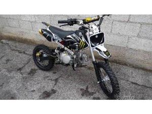VENDO ALTRE MOTO O TIPOLOGIE PITBIKE NUOVA A MONTEBELLUNA (CODICE 7138062) - MOTO.IT