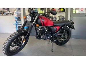 VENDO ARCHIVE MOTORCYCLE AM 80 50 CAFE RACER (2019 - 20) NUOVA A MISANO ADRIATICO (CODICE 8412588) - MOTO.IT