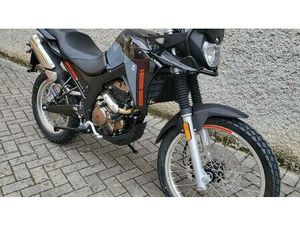 VENDO MALAGUTI DUNE 125 (2019 - 20) NUOVA A MONTICHIARI (CODICE 7866089) - MOTO.IT
