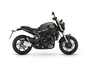 BENELLI LEONCINO 800