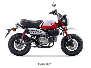HONDA Z 125 MA MONKEY, NAKED, MOTO NEUVE, CHF 4'400.-