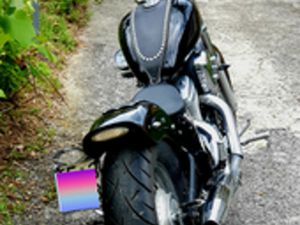 HONDA SHADOW CUSTOM 600