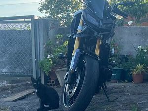 YAMAHA MT-09 2014 AVEIRO