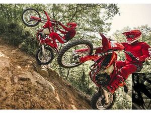 GASGAS EC 350 F WIE EINM