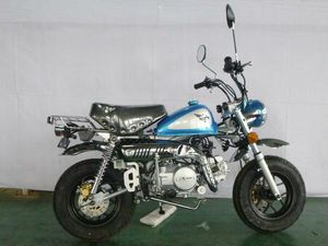 SKYTEAM SKYMINI MONKEY 50 CC EURO 5 EINSPRITZUNG ABB. ÄHNL.