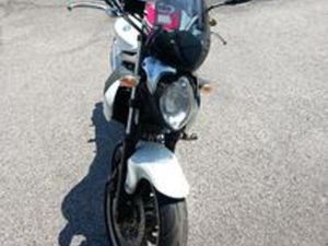 SUZUKI SFV GLADIUS 650 - 2009